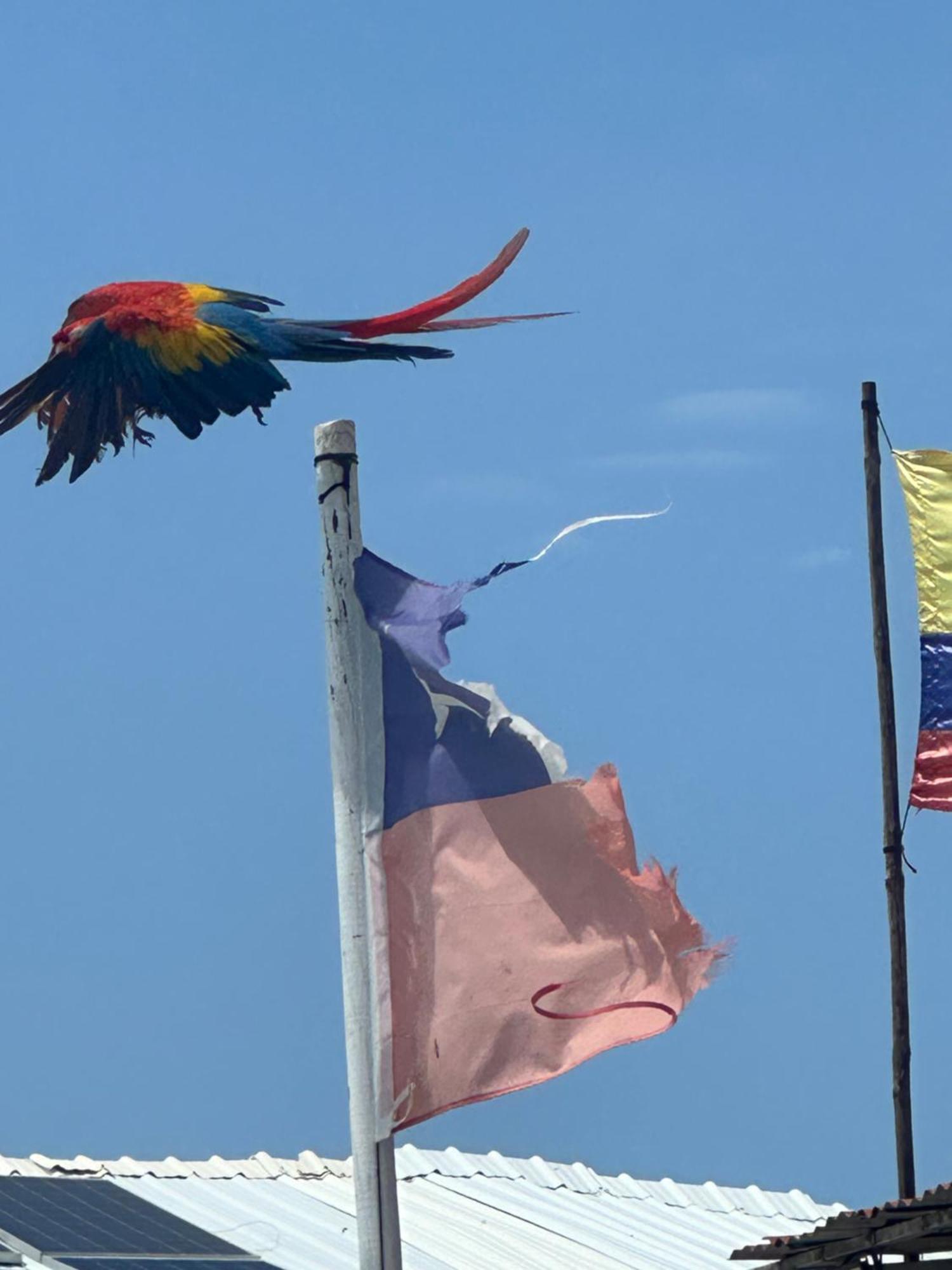 Aparta Fantastique Cerca Al Aeropuerto De Apartment Cartagena