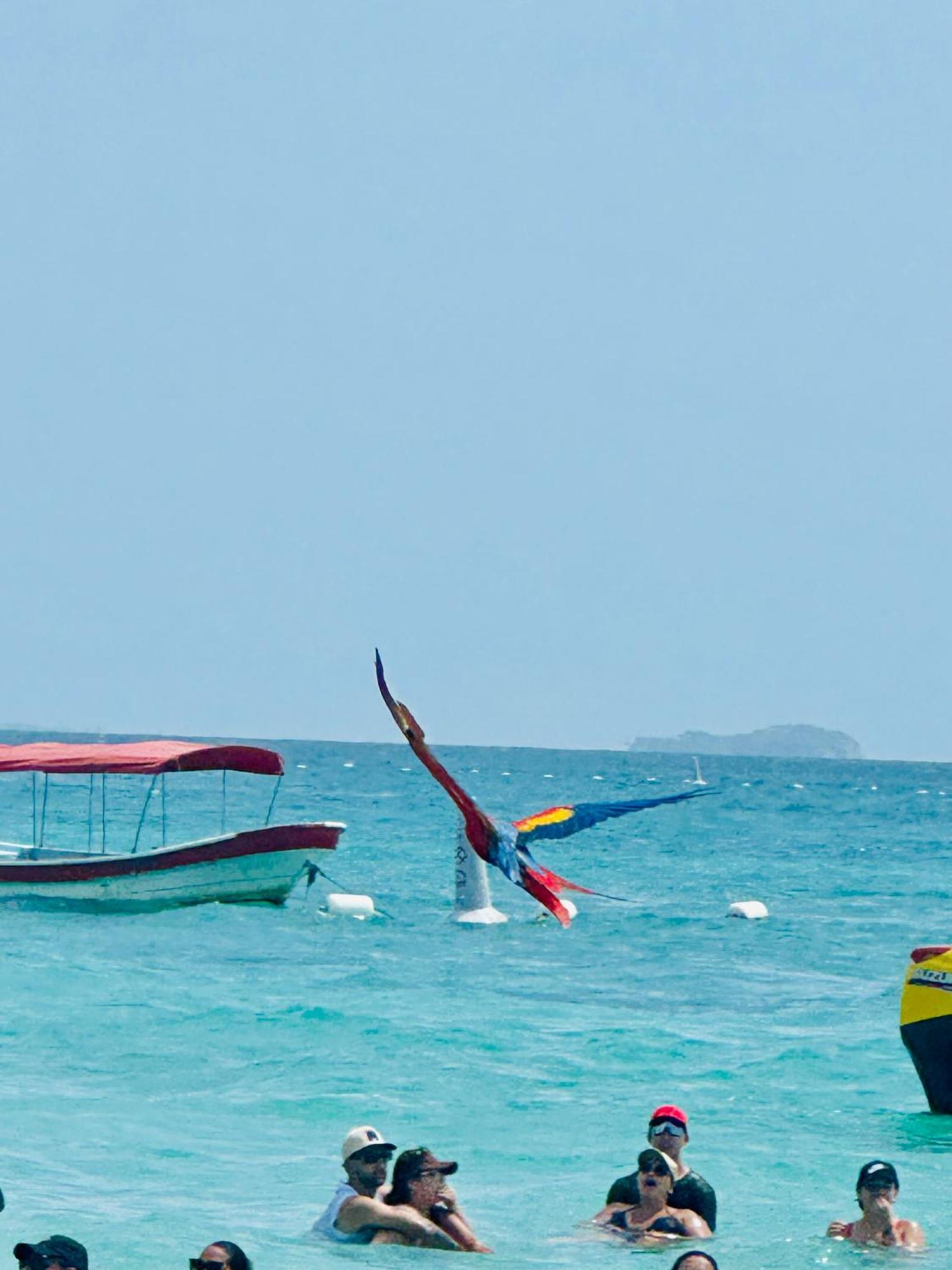 Aparta Fantastique Cerca Al Aeropuerto De Cartagena